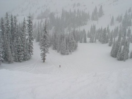 mid mountain snowbird