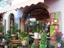 050 Flower Shop In La M tairie 05 12