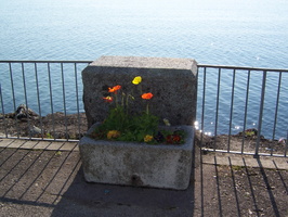052 Nyon 05 12