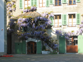 065 Nyon 05 12