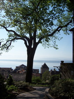 075 Nyon 05 12