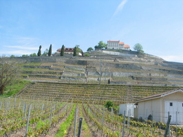086 Drive To Montreux 05 12