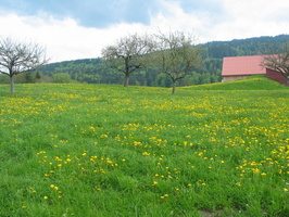 101 Drive Towards Germany 05 12