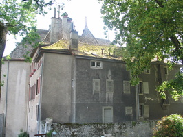 IMG 5096