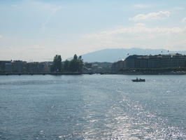 IMG 5256