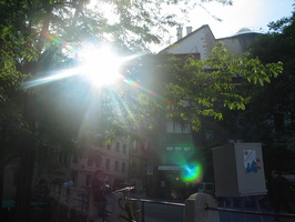 IMG 5296