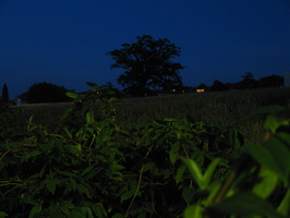 IMG 5363