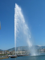 IMG 5254