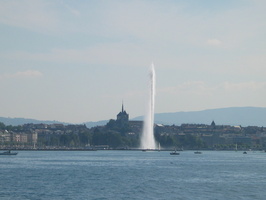 IMG 5264