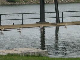 IMG 5618