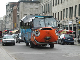 IMG 5638