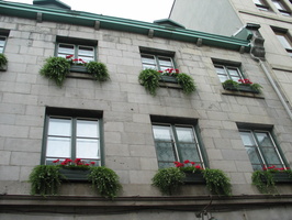 IMG 5652