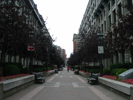 IMG 5710