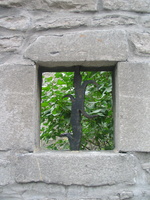 IMG 5723