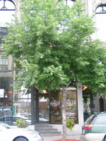 IMG 5724