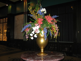 IMG 5750
