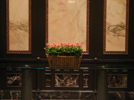 IMG 5754