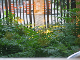 IMG 5761