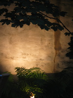 IMG 5762