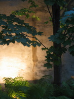 IMG 5765