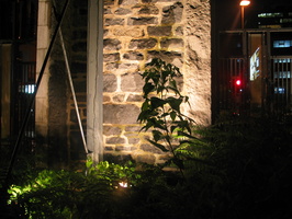 IMG 5775