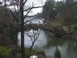 IMG 6377