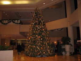 IMG 6385