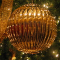 IMG 6392