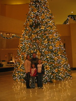 IMG 6399