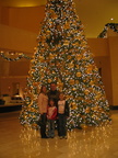 IMG 6399