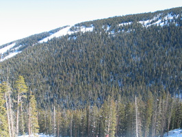 IMG 6460
