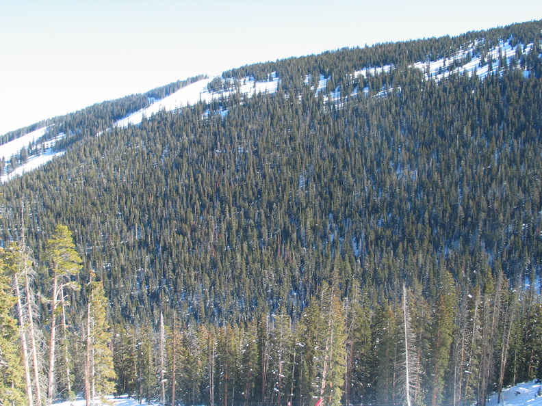 IMG_6460.jpg