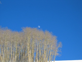 IMG 6520