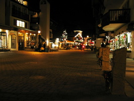 IMG 6525