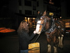 IMG 6528