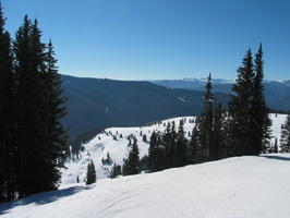 IMG 6536
