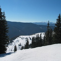 IMG 6536