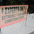 IMG 6539