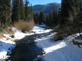IMG 6551