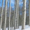 IMG 6564