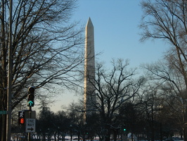 IMG 6636
