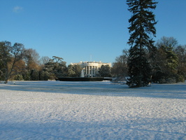 IMG 6646