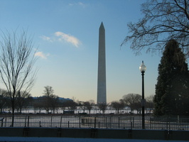 IMG 6661