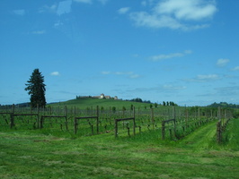 IMG 6952