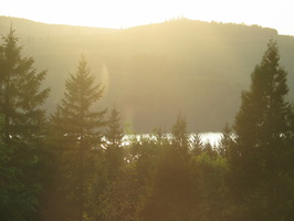IMG 7025