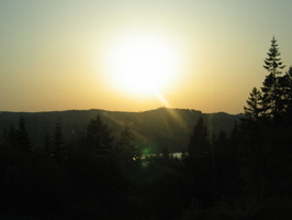 IMG 7029