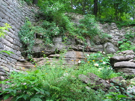 IMG 7217