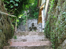 IMG 7229