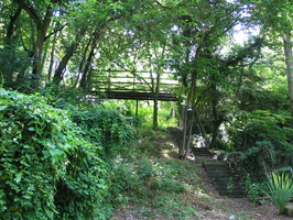 IMG 7236