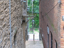 IMG 7259